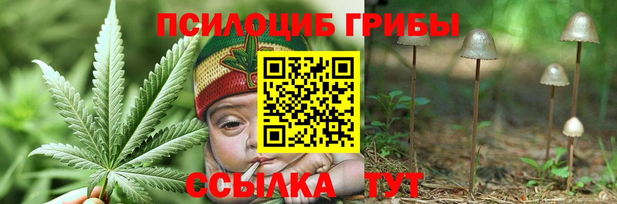 Галлюциногенные грибы Psilocybine cubensis  Вход с VPN  Галлюциногенные грибы GOLDEN TEACHER  Джанкой 